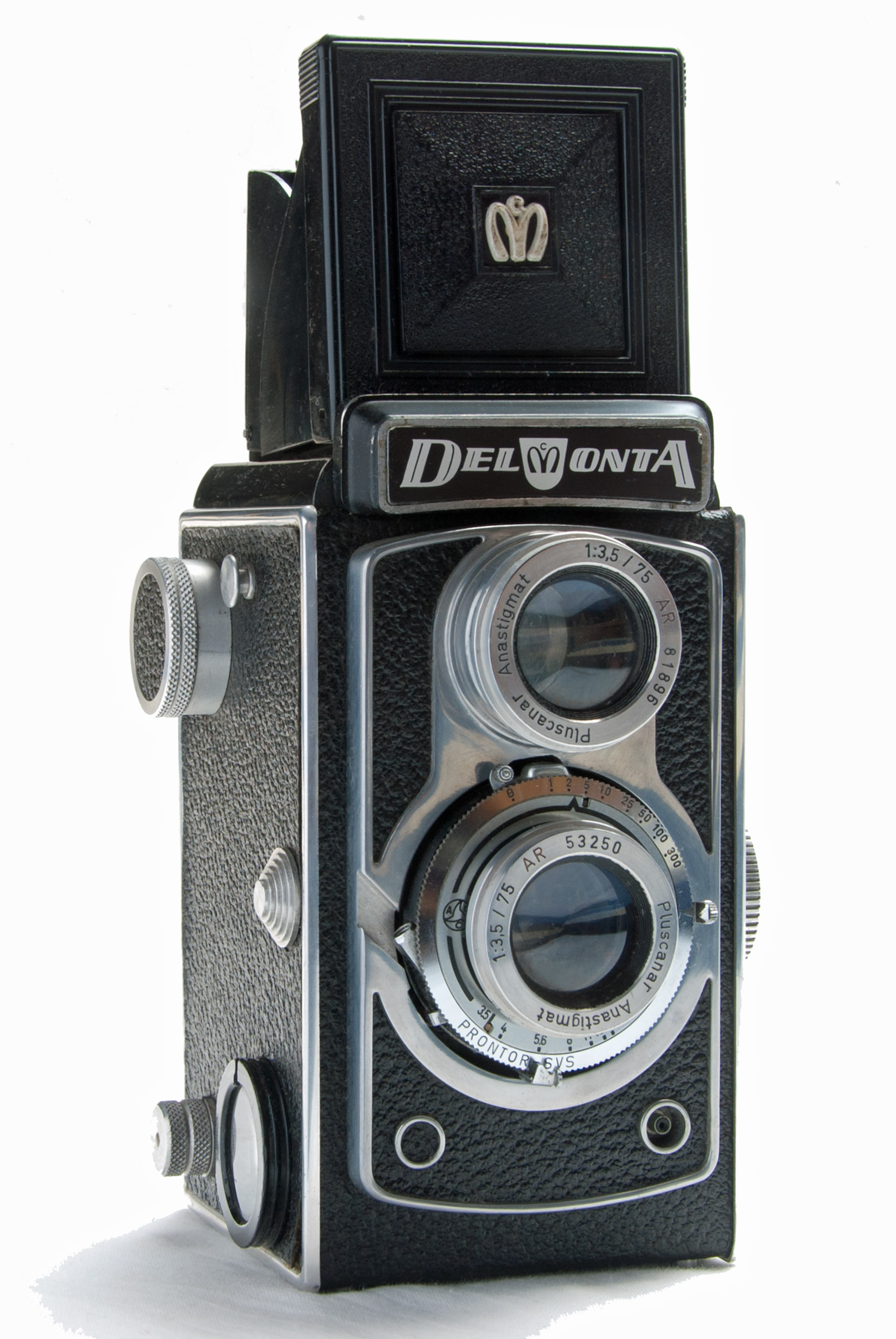 MONTANUS DELMONTA